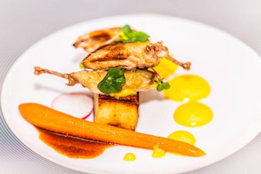 Tabakta jöleli havuç olan bıldırcın butları. Restorandaki yemek. Yemek tasarımı ve restoran yemeği.