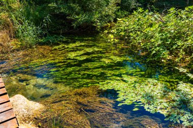 Hırvatistan 'daki Krka Ulusal Parkı' nın güzel manzarası. Doğal Şelaleler. Doğal harikalar.