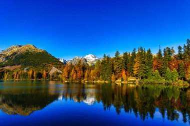 Slovakya 'daki yüksek Tatra dağlarının geniş manzara manzarası. Zirveler, berrak bir gökyüzünün altındaki canlı sonbahar ağaçlarıyla çevrili bir gölün sakin mavi suyuna mükemmel bir şekilde yansıyor..