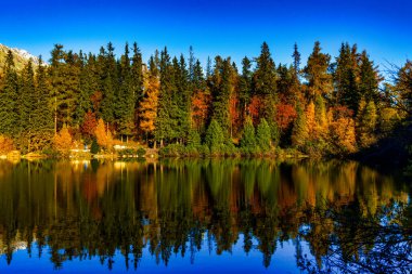 Slovakya 'nın High Tatras kentindeki Strbske Pleso Gölü' nde sakin sonbahar manzarası. Renkli ağaçlar durgun suda mükemmel bir şekilde yansıtılır, sağ tarafında küçük bir ahşap iskele bulunur.