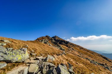 Güneşli bir sonbahar gününde Alçak Tatras Ulusal Parkı 'nın yamaçlarında kıvrılan kayalık bir yürüyüş yolunun geniş panoramik manzarası. Güzel sarı çimenler ve mavi gökyüzü