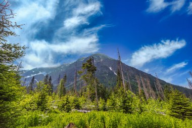 Slovakya 'nın High Tatras kentindeki yemyeşil bir ormanın üzerinde görkemli bir alp zirvesi yükseliyor. Manzara, derin mavi gökyüzüne çarpıcı beyaz bulutlar yansıtıyor, Tatra dağlarının vahşi doğasının engebeli güzelliğini vurguluyor..