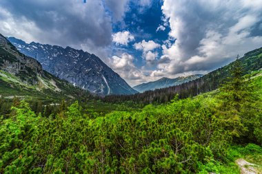 Slovakya 'daki High Tatras Ulusal Parkı' nın nefes kesici geniş açılı panoramik görüntüsü. Manzara, yemyeşil yamaçları, cüce çam bitkilerini ve parlak mavi gökyüzünün altında kabarık beyaz bulutları olan engebeli granit tepeleri sergiliyor..
