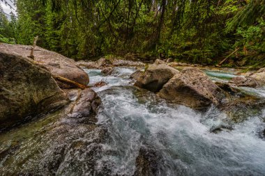 Yoğun bir yeşil ormandaki kayaların üzerinden akan dağ nehri. Slovakya 'daki High Tatras Ulusal Parkı' nda yakalandı. Yosun taşlı el değmemiş doğa ve yazın berrak su..