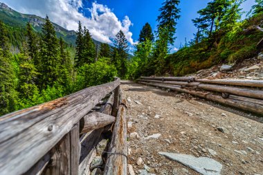 Erozyona karşı kırsal ahşap kütüklerle korunan bir yürüyüş yolunun ayrıntılı alçak açılı görüntüsü. Parlak mavi gökyüzünün altındaki yemyeşil Kezmarska vadisinde yer alan High Tatras, Slovakya.