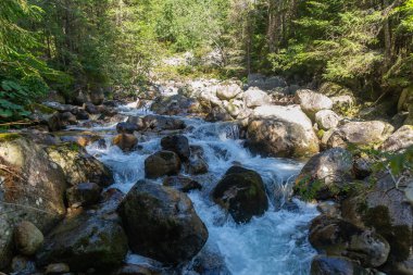 Güneşli bir ormanda, geniş yosunlu kayaların üzerinden akan temiz bir dağ deresi. Slovakya 'daki High Tatras Ulusal Parkı' nda el değmemiş doğayı ve doğal su akışını sergilerken yakalandı..
