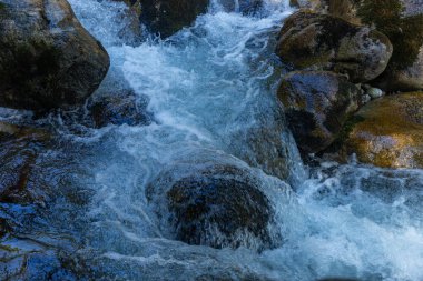 Güneşli bir ormanda, geniş yosunlu kayaların üzerinden akan temiz bir dağ deresi. Slovakya 'daki High Tatras Ulusal Parkı' nda el değmemiş doğayı ve doğal su akışını sergilerken yakalandı..