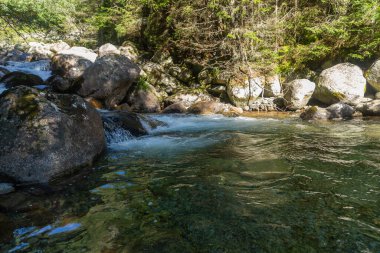 Güneşli bir ormanda, geniş yosunlu kayaların üzerinden akan temiz bir dağ deresi. Slovakya 'daki High Tatras Ulusal Parkı' nda el değmemiş doğayı ve doğal su akışını sergilerken yakalandı..