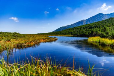 High Tatras 'taki Trojrohe Pleso' nun barışçıl manzarası. Kristal mavi su, Tatra Ulusal Parkı 'ndaki yemyeşil çayırlar ve çam çalılarıyla çevrili gökyüzünü yansıtır..