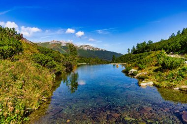 Mavi gökyüzünü yansıtan bir dağ deresinin şeffaf suyu. Uzakta Belianske Tatras 'ın manzaralı kireçtaşı sırtı ve yemyeşil bitki örtüsüyle Zelene Pleso yakınlarındaki High Tatras' ta yakalandı..
