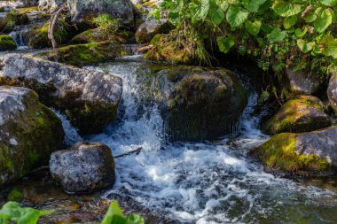 Yosun kaplı taşların üzerinden akan temiz bir dağ deresinin yakın görüntüsü. Slovakya 'daki Tatra Ulusal Parkı' nda yemyeşil bitki örtüsüyle çevrili.