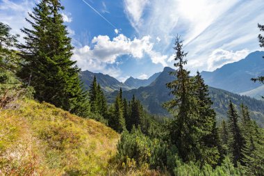 Keskin kayalık tepeler ve ince bulutlu mavi gökyüzünün altında yoğun bir ladin ormanı barındıran çarpıcı bir dağ manzarası. Slovakya 'daki High Tatras Ulusal Parkı' nda Hladke sedlo yakınlarında yakalandı..
