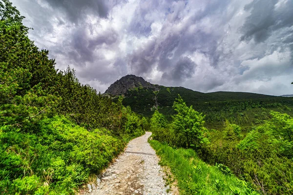 Karanlık, kasvetli bir fırtınanın altında sivri dağ tepelerine uzanan çakıllı yürüyüş yolunun panoramik bir görüntüsü. Slovakya 'daki Yüksek Tatras Ulusal Parkı' nda yakalanan yemyeşil cüce çamı.