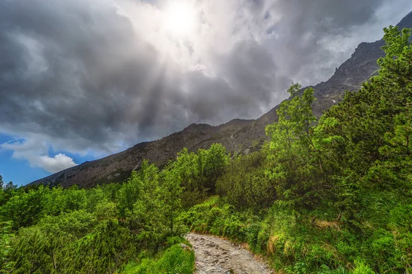 Karanlık, kasvetli bir fırtınanın altında sivri dağ tepelerine uzanan çakıllı yürüyüş yolunun panoramik bir görüntüsü. Slovakya 'daki Yüksek Tatras Ulusal Parkı' nda yakalanan yemyeşil cüce çamı.