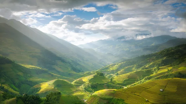 Terraced rice field inside fog and morning ray in Mu Cang Chai — Stock Photo, Image