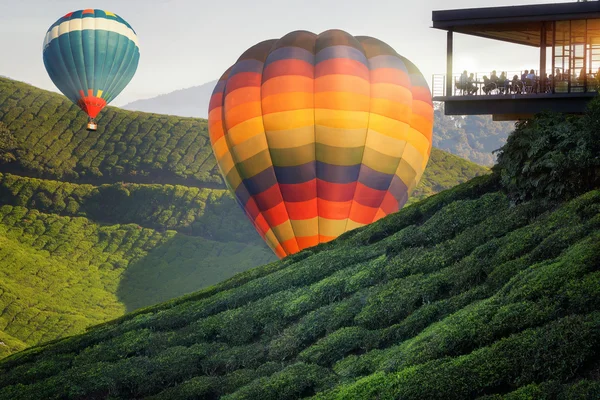 Terrasvormige rijst veld in mist en ochtend ray in Mu Cang Chai — Stockfoto