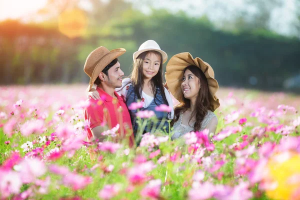 Familie i sommer blomstermark - Stock-foto