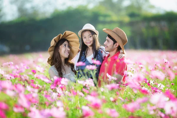 Семья в летнем цветочном поле — стоковое фото