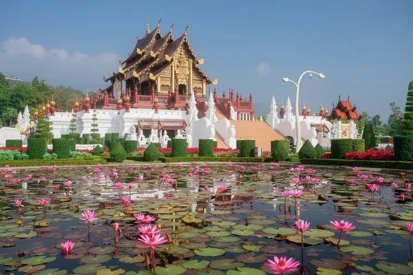 Flora reale ratchaphruek parco . — Foto Stock