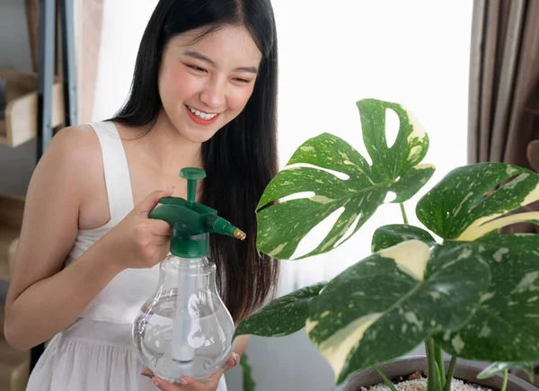 Jovem Mulher Asiática Pulveriza Plantas Vasos Monstera Mulher Que Cuida — Fotografia de Stock