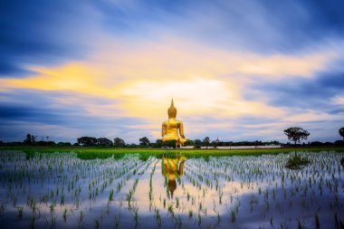 WAT muang Guild dev big buddha heykeli ile