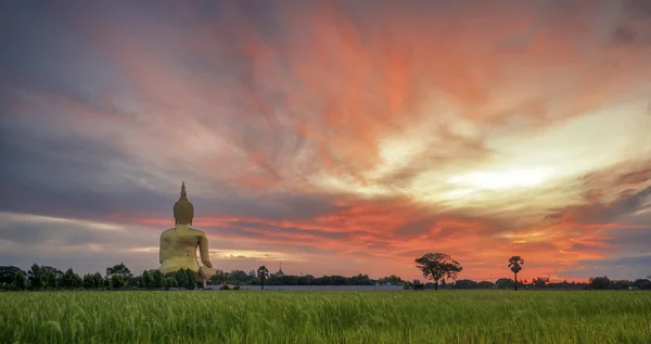 Wat Muang kullattu jättiläinen iso Buddha patsas — kuvapankkivalokuva