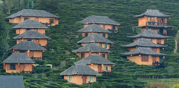 Plantacja herbaty i chaty w Ban Rak tajski. Mae Hong Son — Zdjęcie stockowe