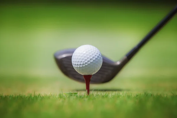 Golf im Gras — Stockfoto
