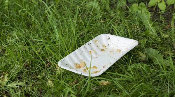 fast food tray littering the countryside