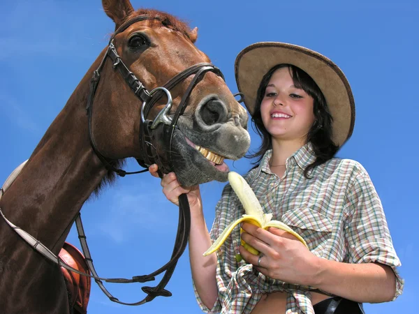 Caballo muy feliz — Foto de Stock