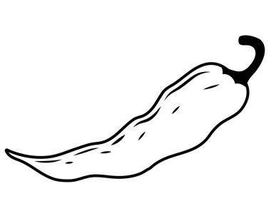 Chili biber hattı. Farklı renklerde acı biberlerin güzel yeni simgeleri. Baharatlı yemek için baharat. Web siteleri, baskılar ve aşçılık dergileri için vektör illüstrasyonu.