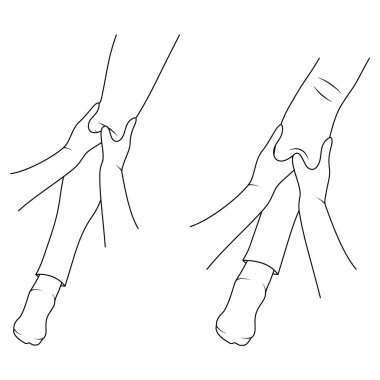 Masaj. Yumeiho terapi hattı. Masaj teknikleri için talimatlar