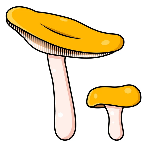 Fungo. Bella foresta autunnale grande fungo del fumetto di colore arancione. — Vettoriale Stock