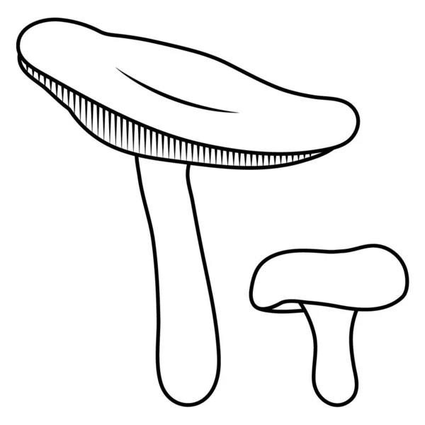 Mushroom line. Beautiful autumn forest big cartoon mushroom. — Stock Vector