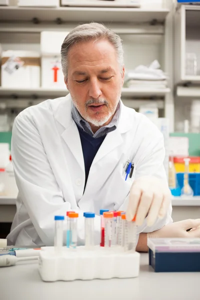 Científico trabajando en laboratorio — Foto de Stock