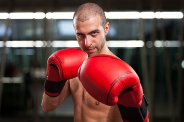 boksör nöbet yerinde