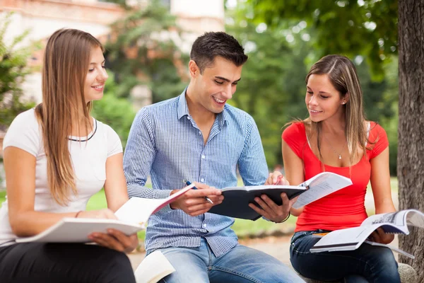 Estudantes compartilhando suas notas — Fotografia de Stock