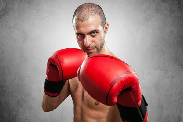 Boxer em posição de guarda — Fotografia de Stock