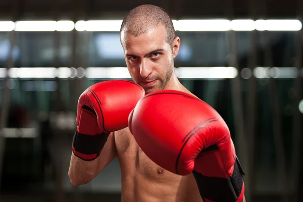 Boxer em posição de guarda — Fotografia de Stock