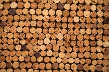 Mantar kapaklar arka plan