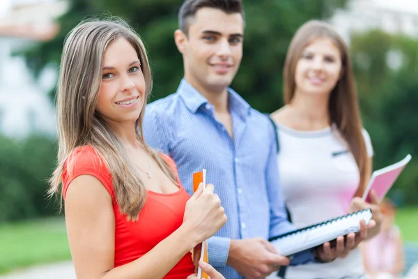 Studenten groep buitenshuis — Stockfoto