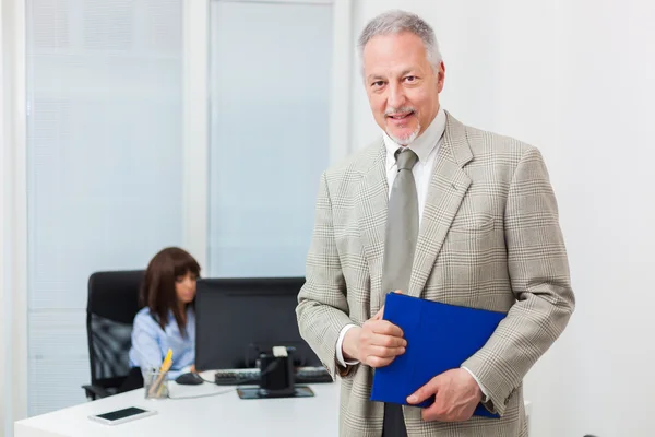 Geschäftsmann hält Ordner, während Geschäftsfrau am Computer arbeitet — Stockfoto