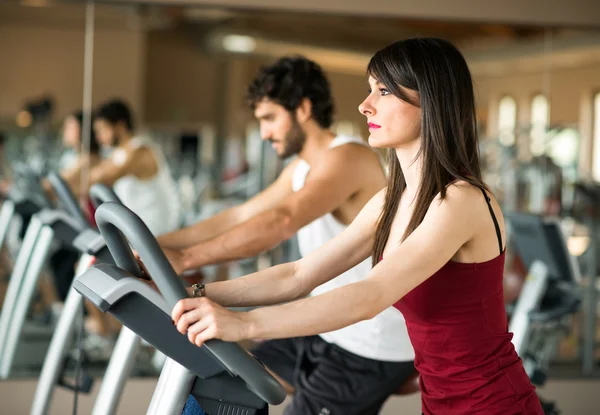 People working out on stationary bikes — Stock Photo, Image