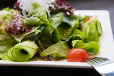 karışık sebze salatası 