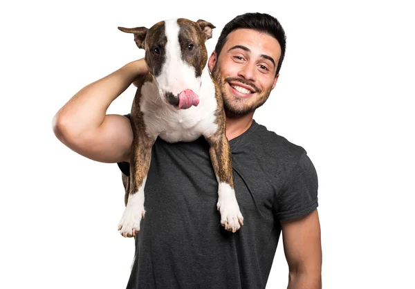 Man håller miniatyr bull terrier hund — Stockfoto