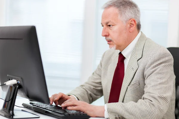 在计算机上工作的高级商人 — 图库照片