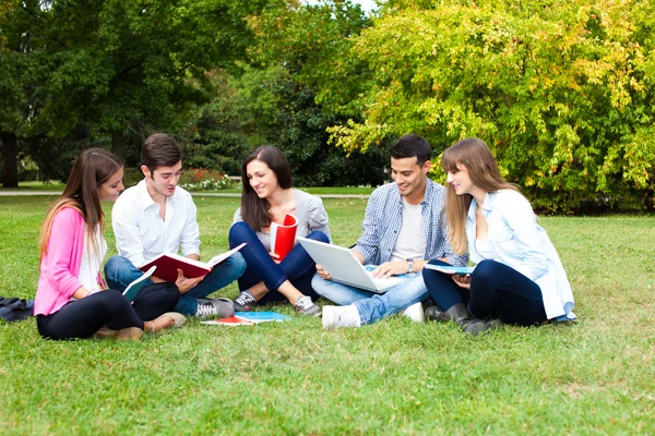 Amici che studiano insieme in un parco — Foto Stock