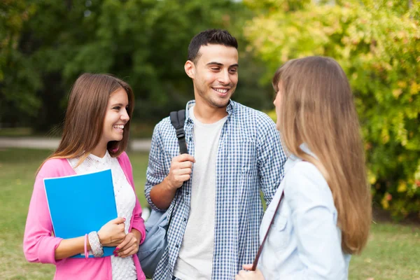 Group of smiling students Stock Picture