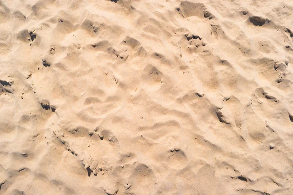 tropical sand texture