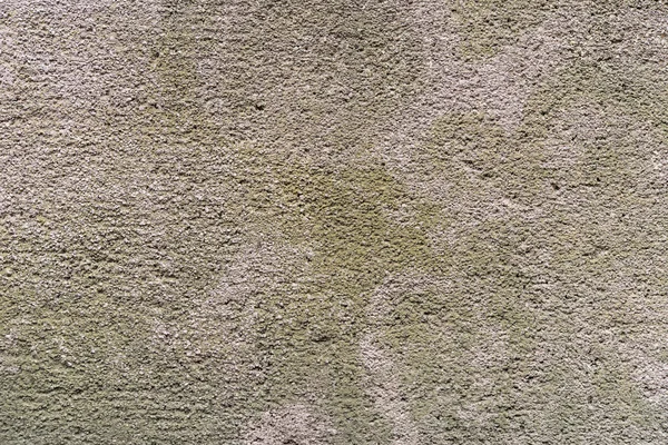 Цвіль гранжева текстура стін — стокове фото